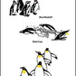LIMITED STOCK: "Penguins" Tenugui